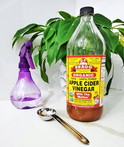 Vinegar cleaner