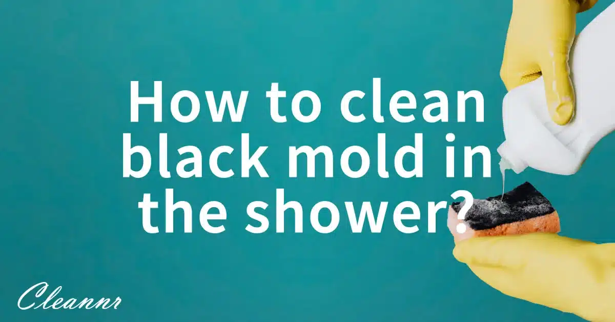 How to clean black mold in the shower? Cleannr