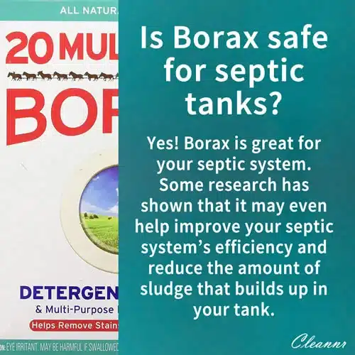 Is Borax safe for septic tanks